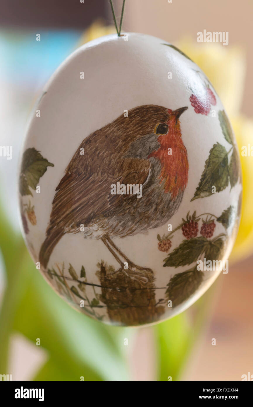 Uova di anatra con dipinta su Robin (Erithacus rubecula) Foto Stock