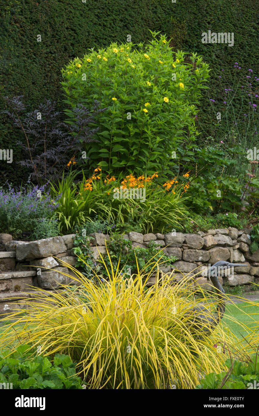 Bella e tradizionale e paesaggistici, country Garden, West Yorkshire, Inghilterra - piante e arbusti sollevata sul confine erbacee in estate. Foto Stock