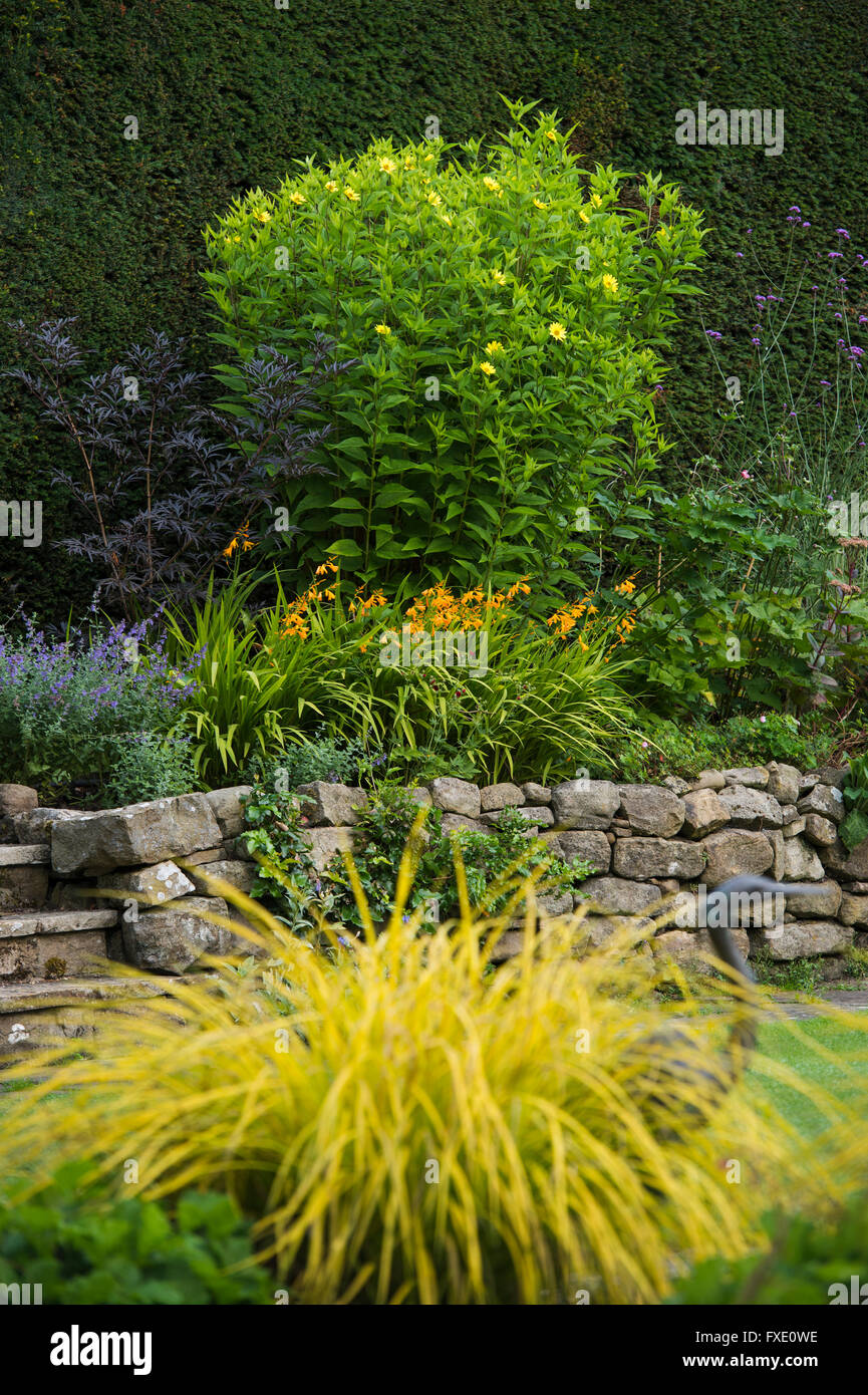 Bella e tradizionale e paesaggistici, country Garden, West Yorkshire, Inghilterra - piante e arbusti sollevata sul confine erbacee in estate. Foto Stock