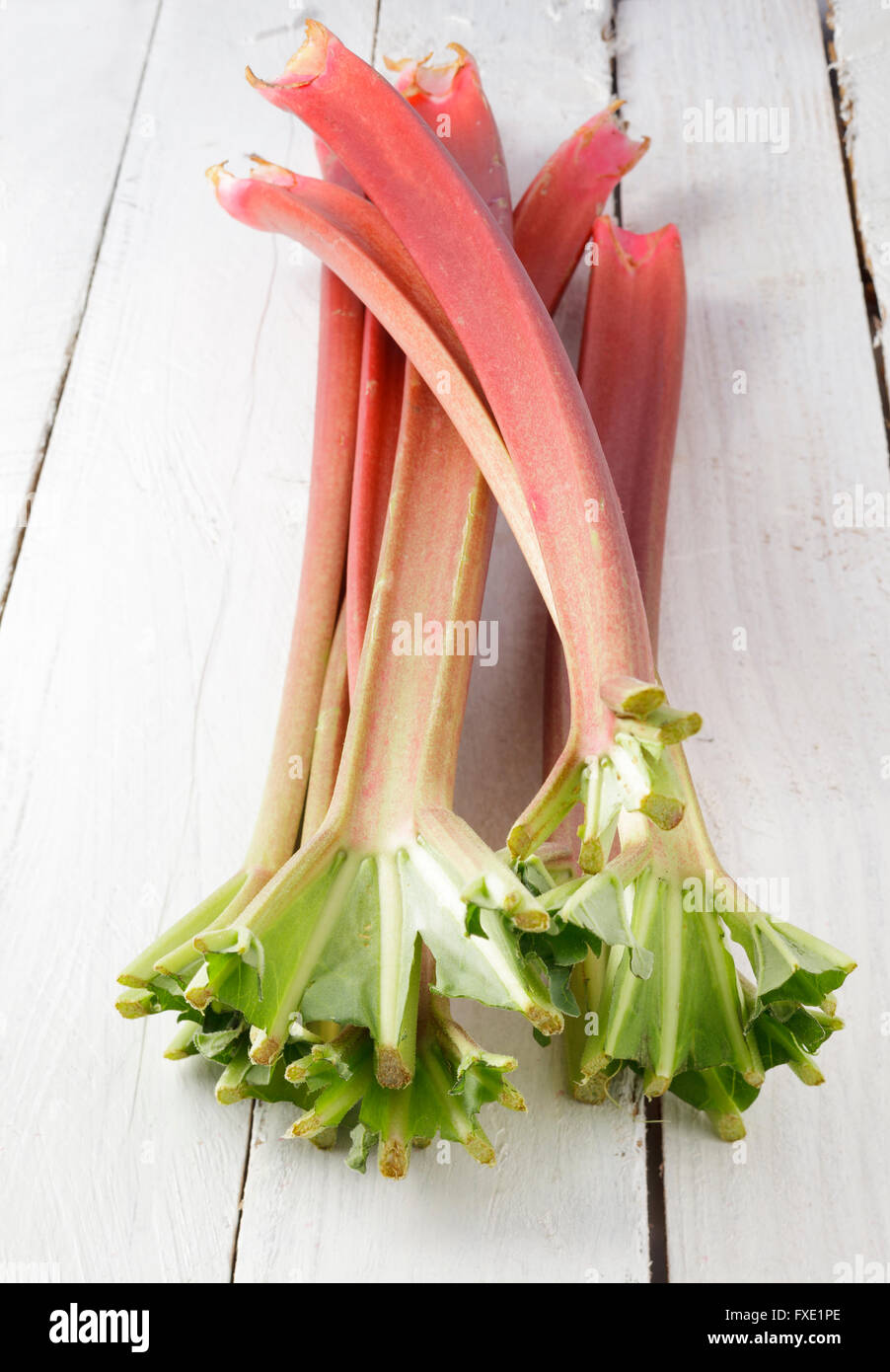 Rabarbaro Foto Stock