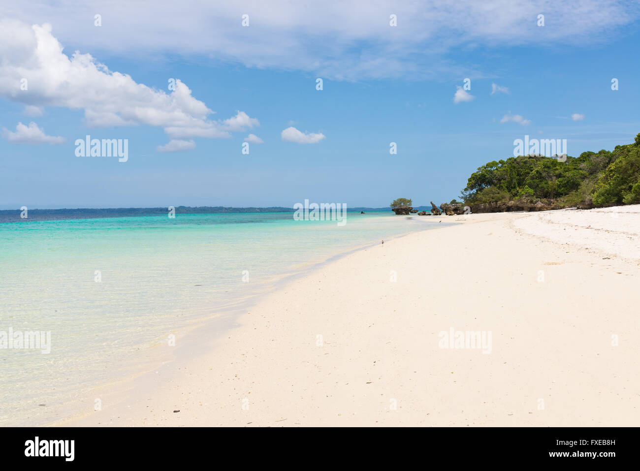 Bianca incontaminata spiaggia tropicale con il blu del mare e la vegetazione lussureggiante sull'isola africana di misali, Pemba, Zanzibar. Foto Stock