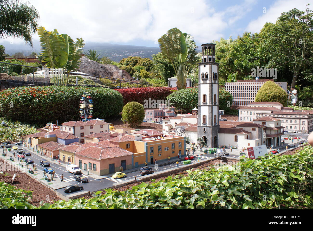 Copia nel Parco Pueblochico isola di Tenerife, Isole Canarie Spagna Foto Stock