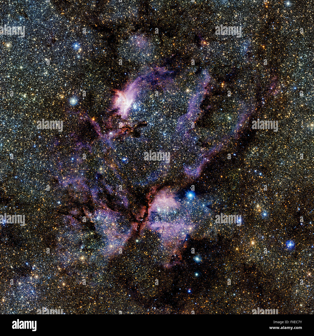 Stelle nebula, bello e colorato esplosivo nello spazio Foto Stock