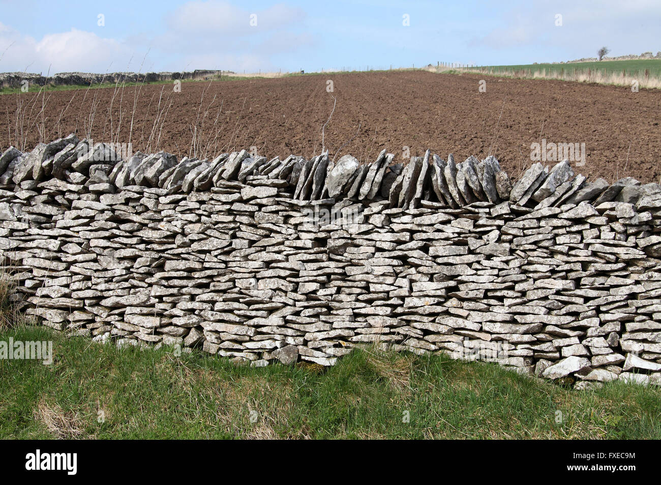 Derbyshire muretti a secco Foto Stock