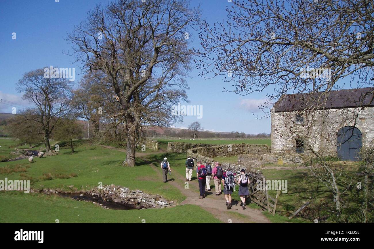 Teesdale Foto Stock