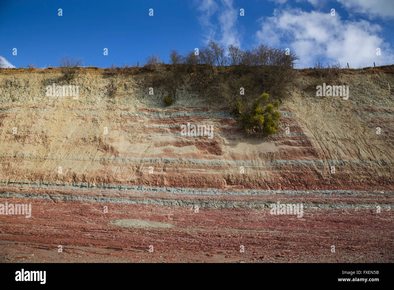 Garden Cliff, Westbury on severn, Gloucestershire, Inghilterra. Foto Stock