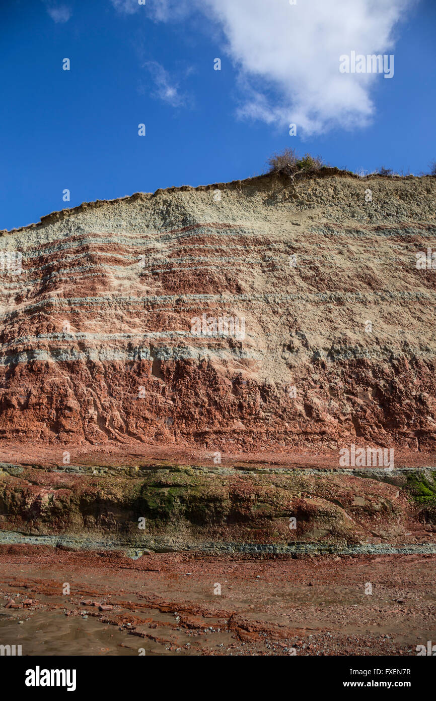 Garden Cliff, Westbury on severn, Gloucestershire, Inghilterra. Foto Stock