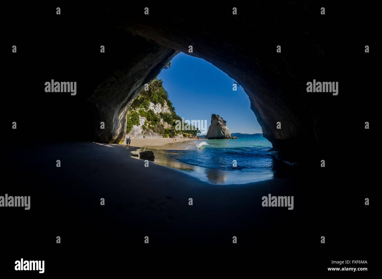 Cattedrale Cove Beach, Penisola di Coromandel, Nuova Zelanda Foto Stock