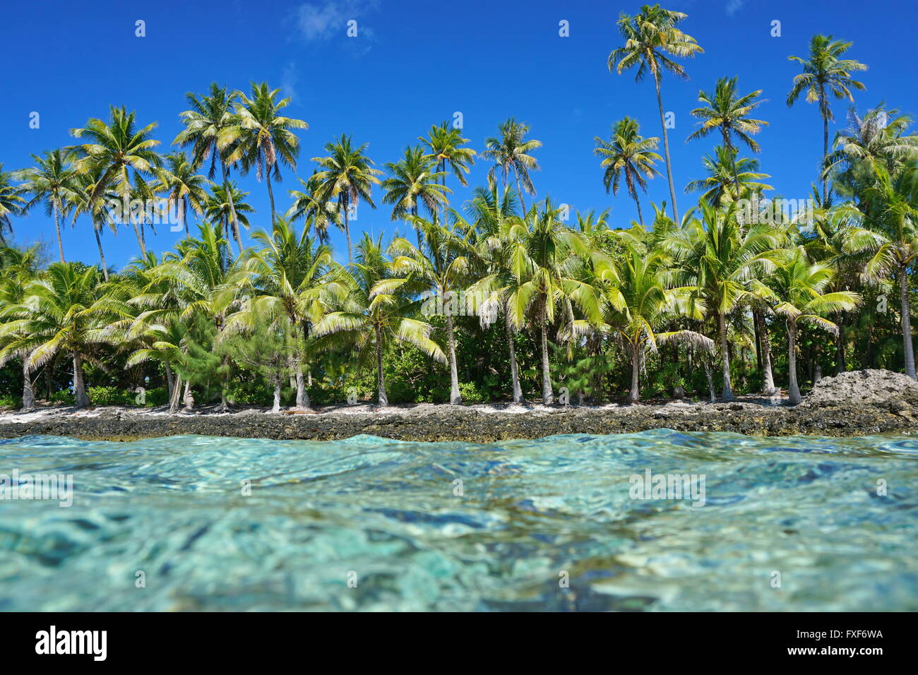 Incontaminata costa tropicale con palme da cocco visto dalla superficie dell'acqua, Huahine isola, oceano pacifico, Polinesia Francese Foto Stock
