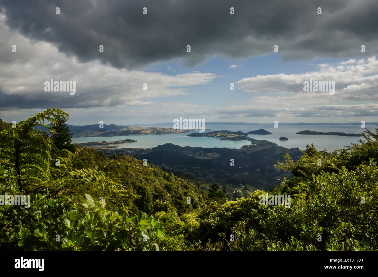 Nuova Zelanda paesaggio, Isola del nord, la Penisola di Coromandel Foto Stock