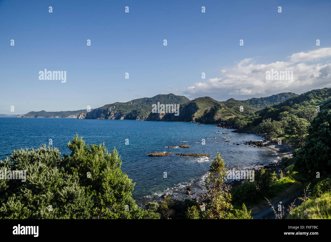 Nuova Zelanda paesaggio, Isola del nord, la Penisola di Coromandel Foto Stock