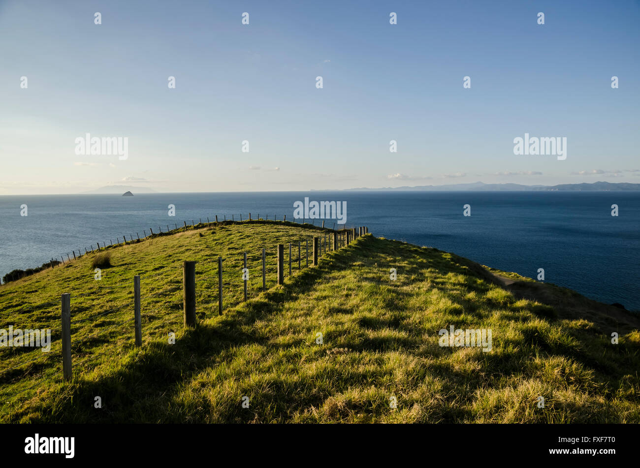 Nuova Zelanda paesaggio, Isola del nord, la Penisola di Coromandel Foto Stock