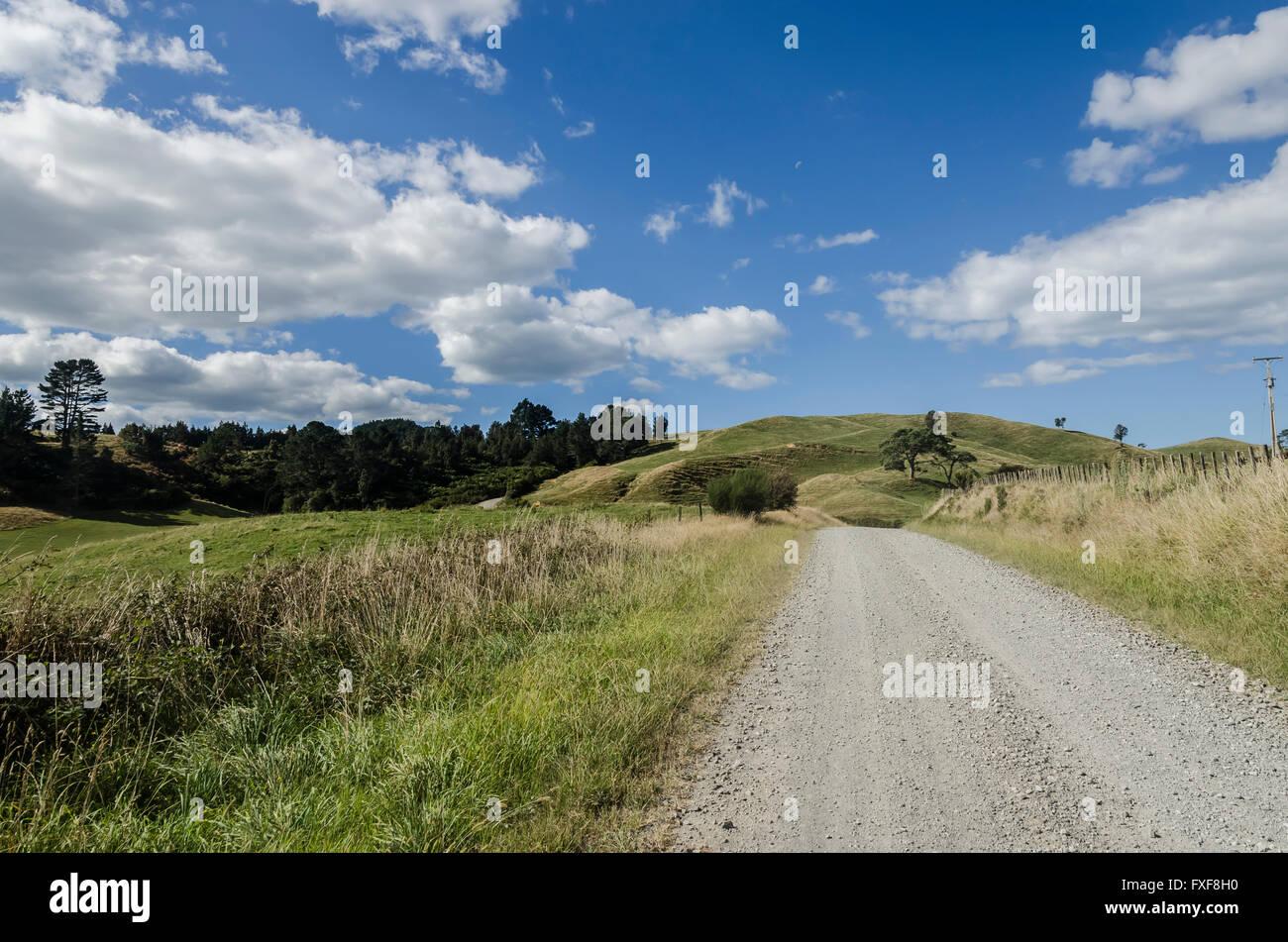 Nuova Zelanda paesaggio, Isola del nord, la penisola di Coromandel Foto Stock