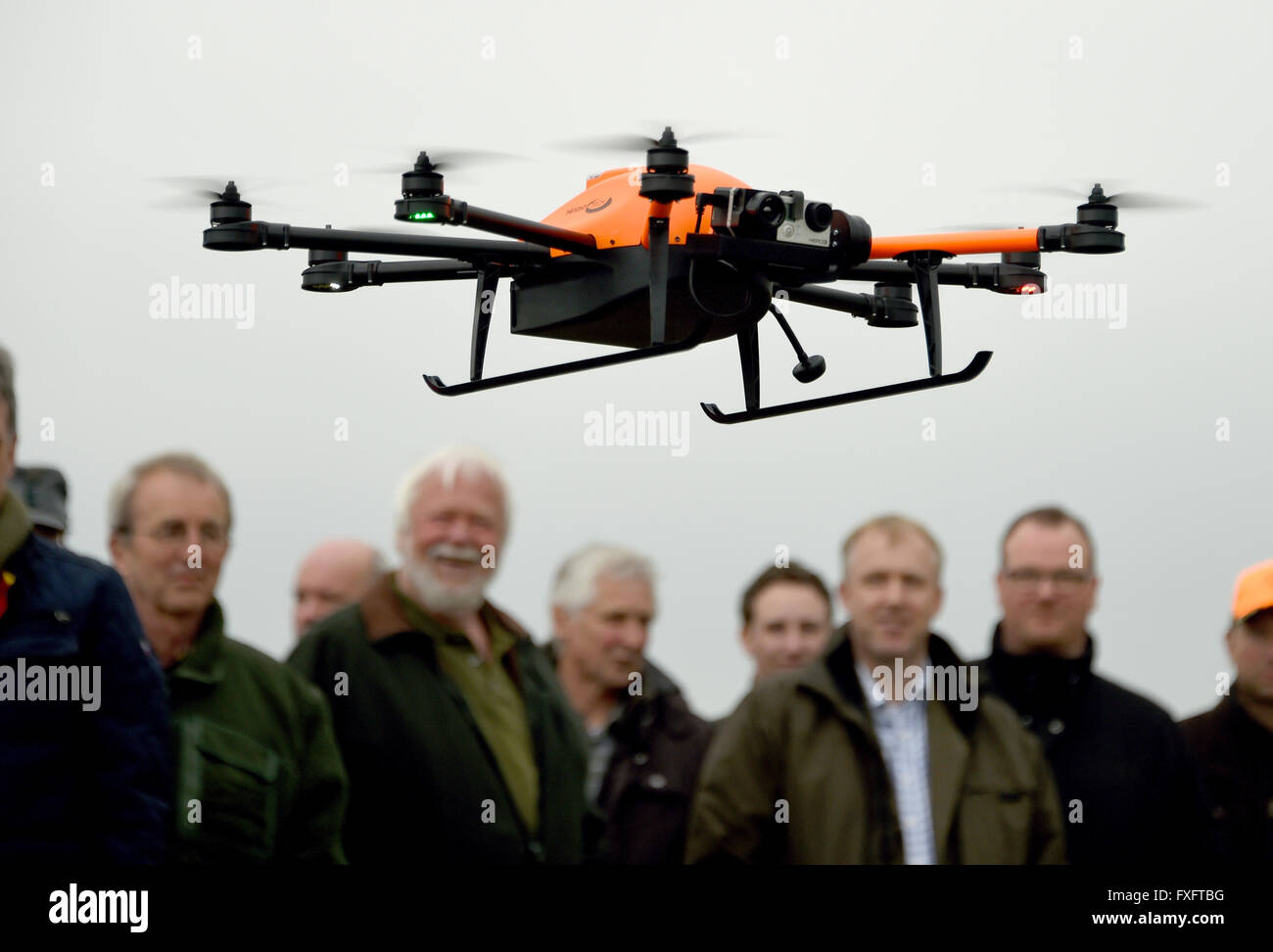 Osdorf, Germania. Xv Apr, 2016. Un drone equipaggiato con una telecamera a raggi infrarossi in bilico davanti di cacciatori in Osdorf, Germania, 15 aprile 2016. Durante una corsa di prova, il fuco è utilizzato per scoprire cerbiatti in settori al fine di salvarli dal mietitori. 3.000 cerbiatti muoiono ogni anno durante il raccolto in Schleswig-Holstein, 90.000 in tutto il paese. Foto: CARSTEN REHDER/dpa/Alamy Live News Foto Stock