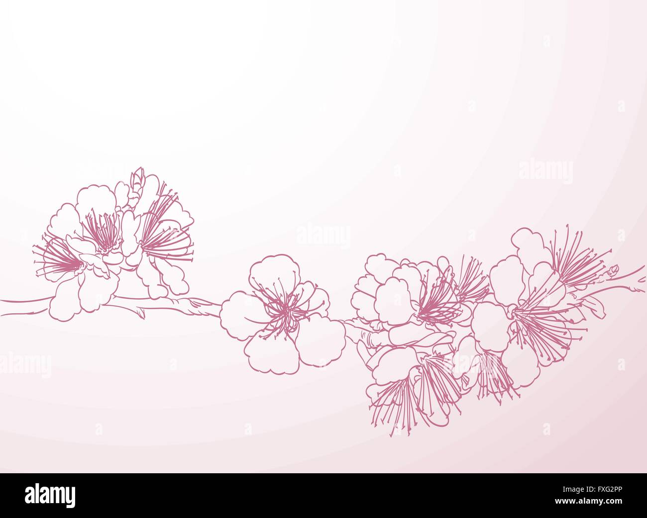 Fioritura albero linea tecnica del disegno a mano. molla sfondo elegante di rosa fiori di susina vettore di contorno Illustrazione Vettoriale