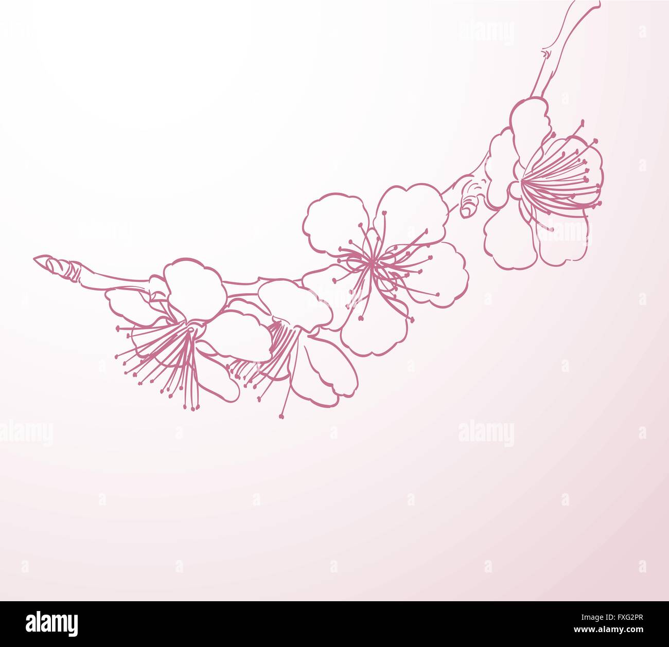 Struttura di fioritura fiori arte di linea del disegno a mano. molla sfondo elegante con fiori di colore rosa vettore di contorno Illustrazione Vettoriale