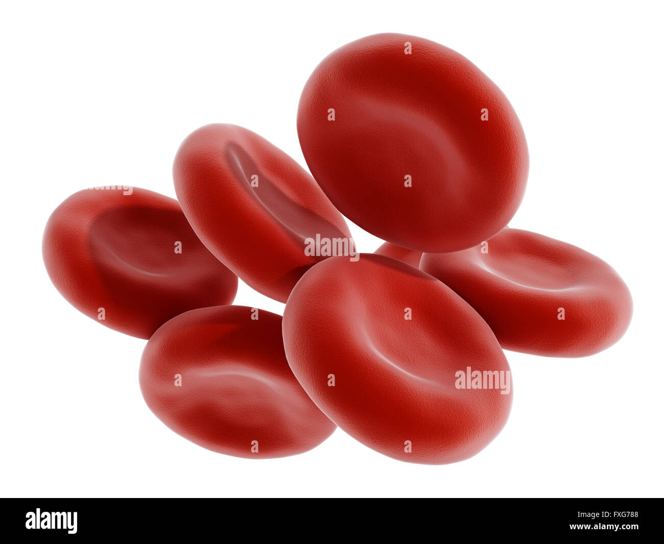 Cellule di sangue rosso isolato su sfondo bianco Foto Stock