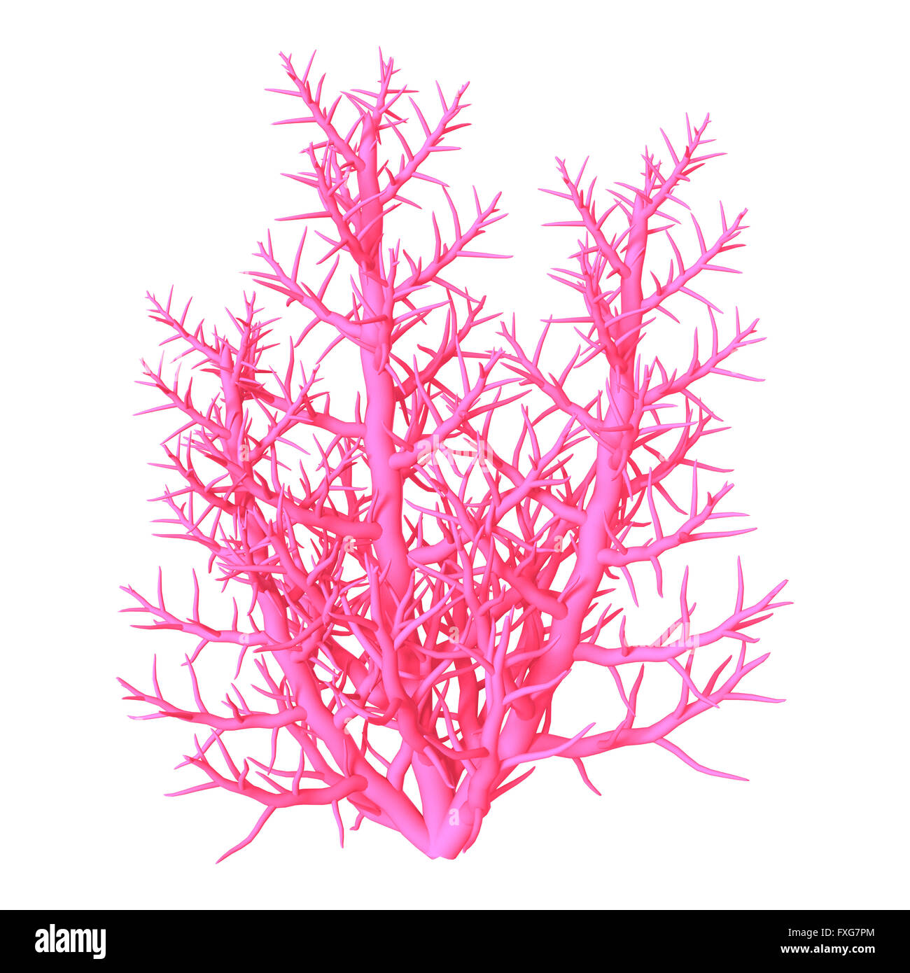 3D illustrazione di un corallo rosa isolato su sfondo bianco Foto Stock