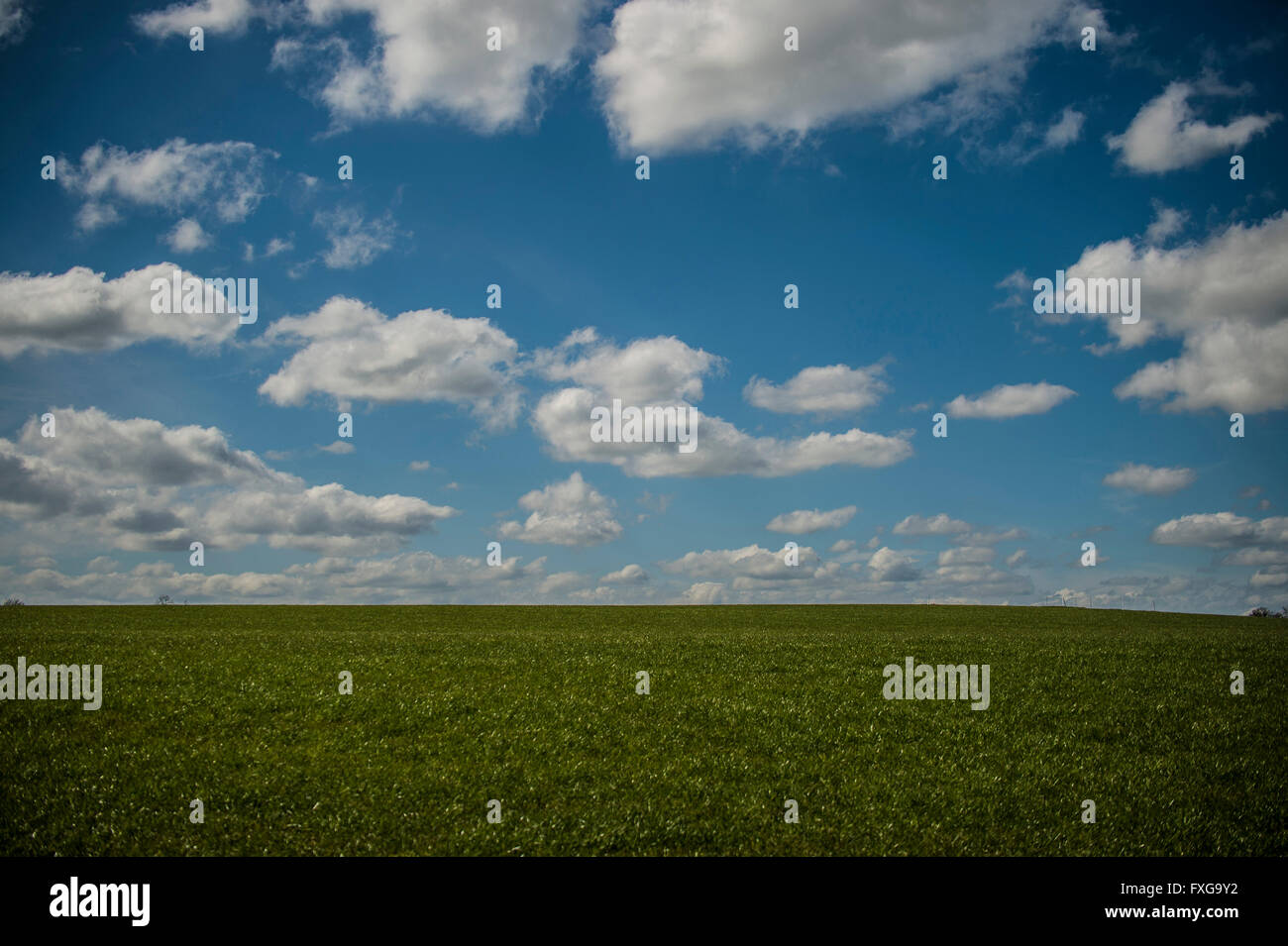 Bella giornata soffici nuvole nel cielo blu sopra la collina erbosa Foto Stock