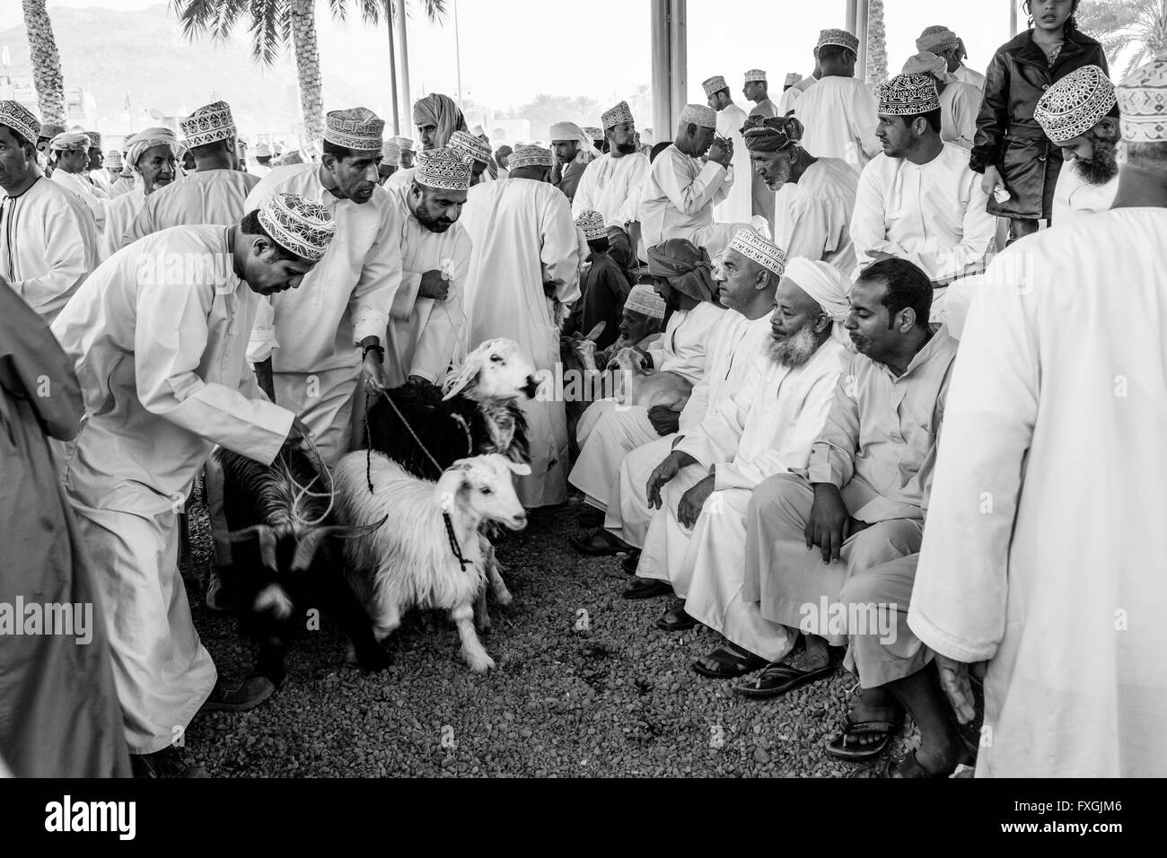 Il venerdì il mercato del bestiame, Nizwa, Ad Dakhiliyah Regione, Oman Foto Stock