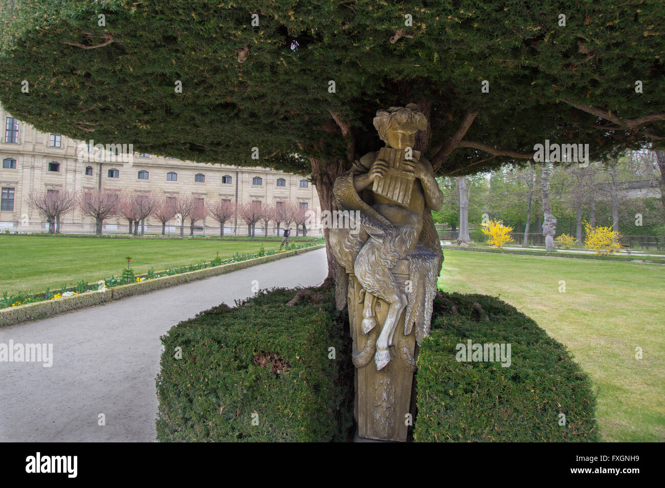 La coppa sotto un albero nel giardino di Corte Foto Stock