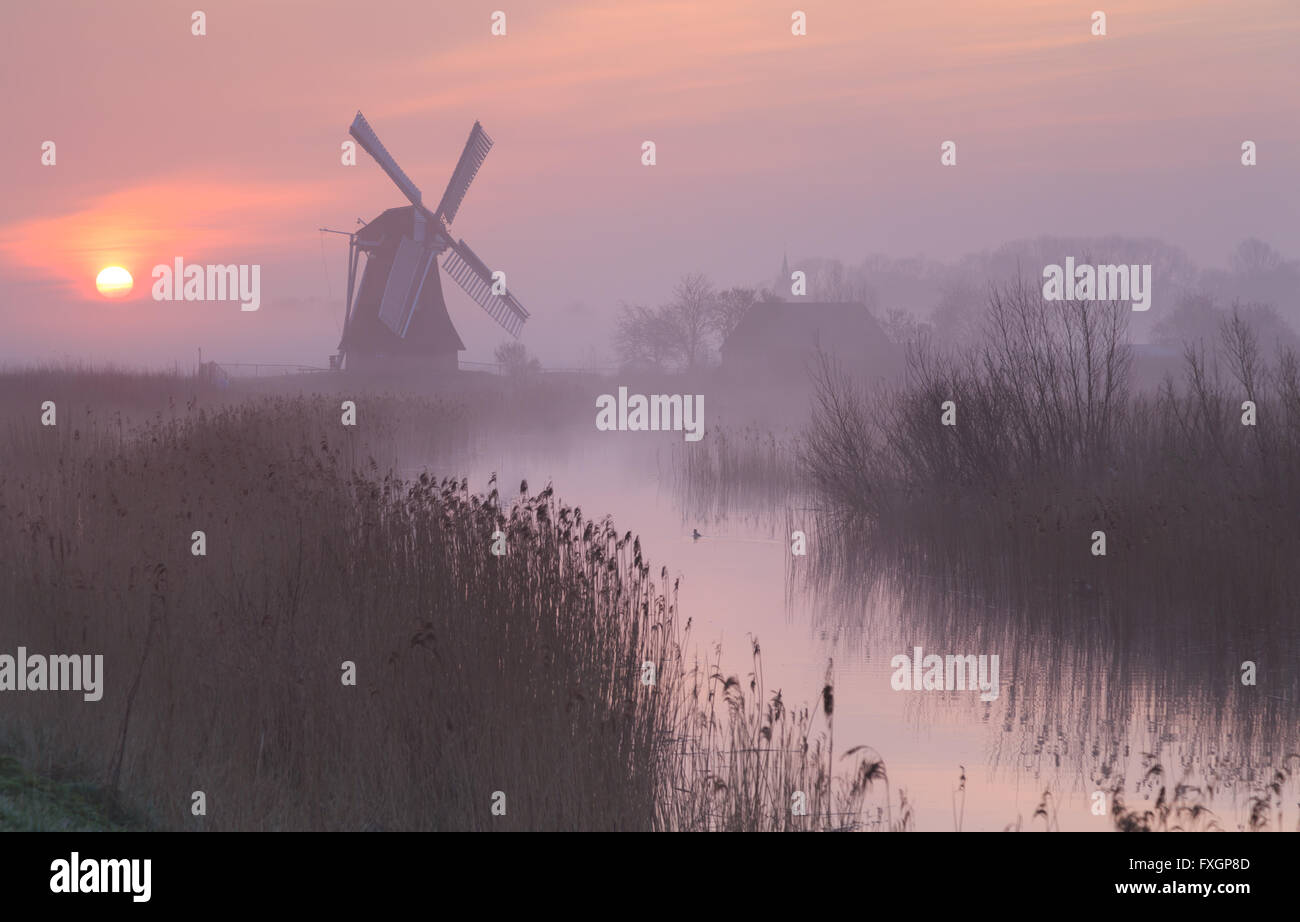 La nebbia, rosa sunrise in Olanda con un tradizionale mulino a vento nelle zone umide. Foto Stock