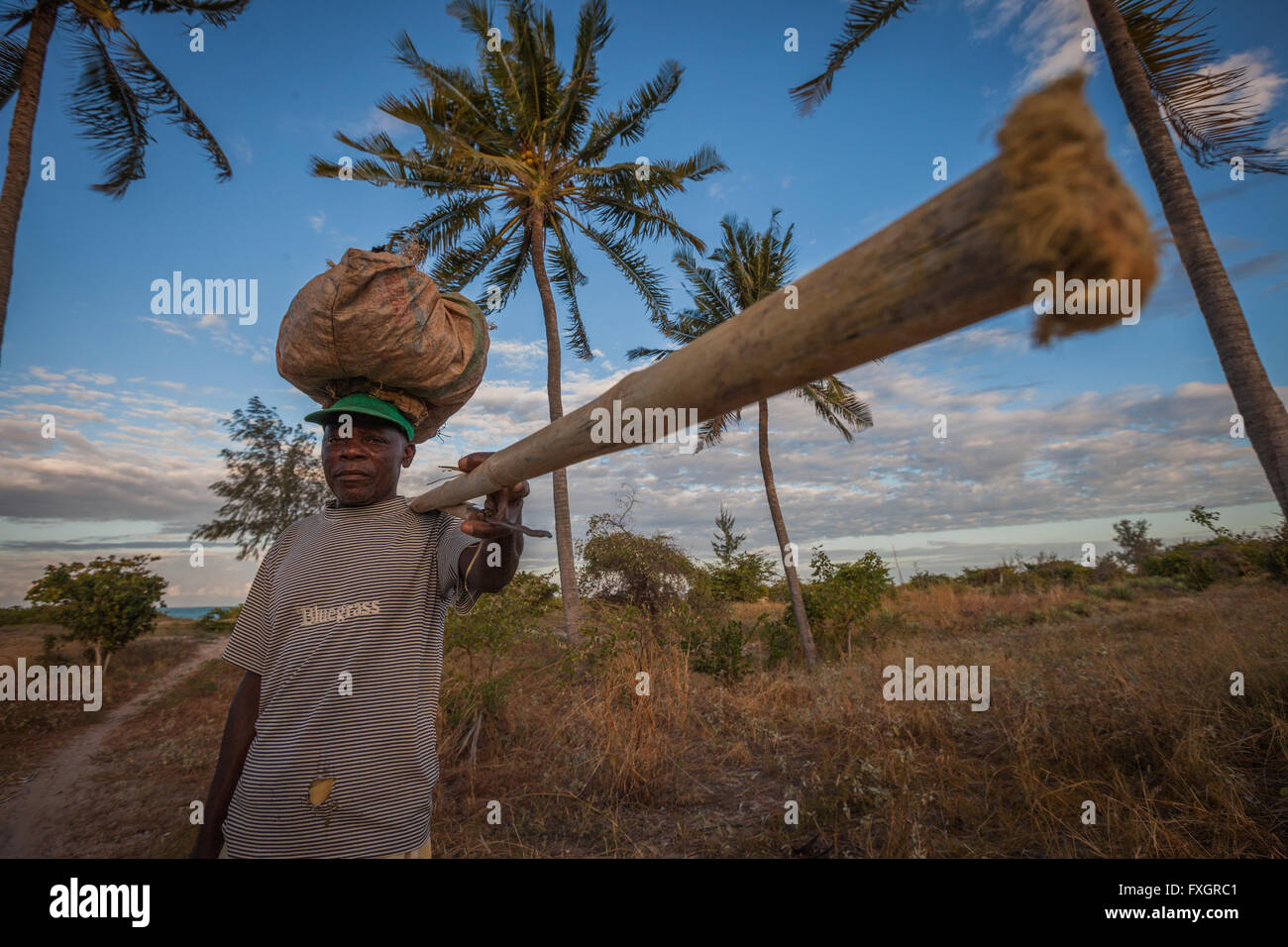 In Mozambico, un uomo sorridente in piantagione di palme con il carrello sulla testa. Foto Stock