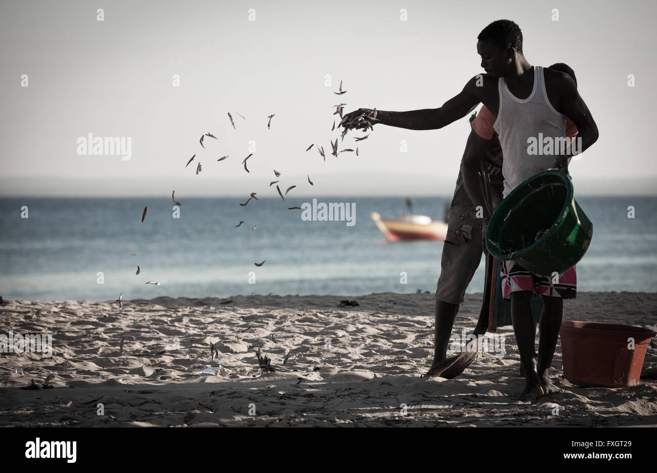 Mozambico, gli uomini sulla spiaggia stanno gettando il pesce sulla sabbia per asciugarlo. Foto Stock