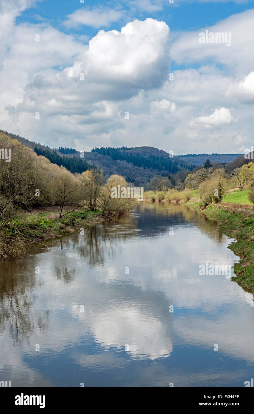 Il fiume Wye a inizio primavera fotografato dal ponte di Brockweir nella valle del Wye sul confine tra Inghilterra e Galles Foto Stock