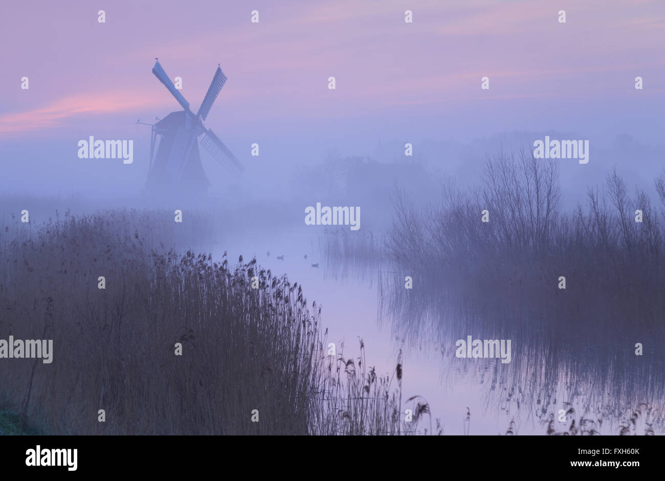 La nebbia, rosa sunrise in Olanda con un tradizionale mulino a vento nelle zone umide. Foto Stock