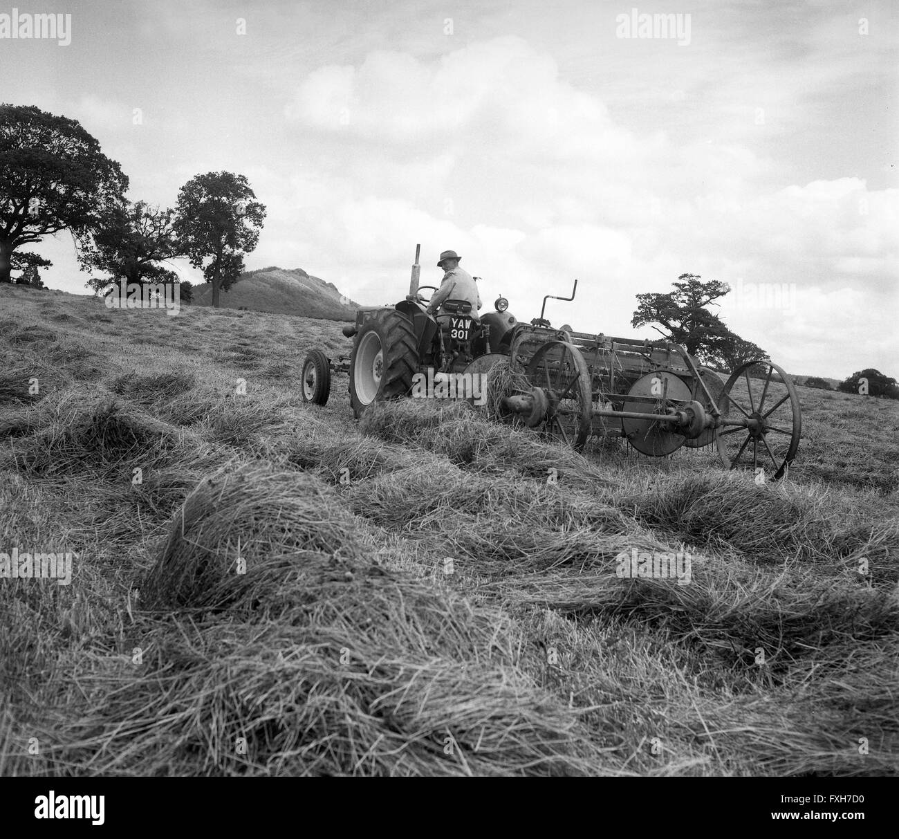 Fienagione vicino al Wrekin a Garmston nello Shropshire 1960s Foto Stock