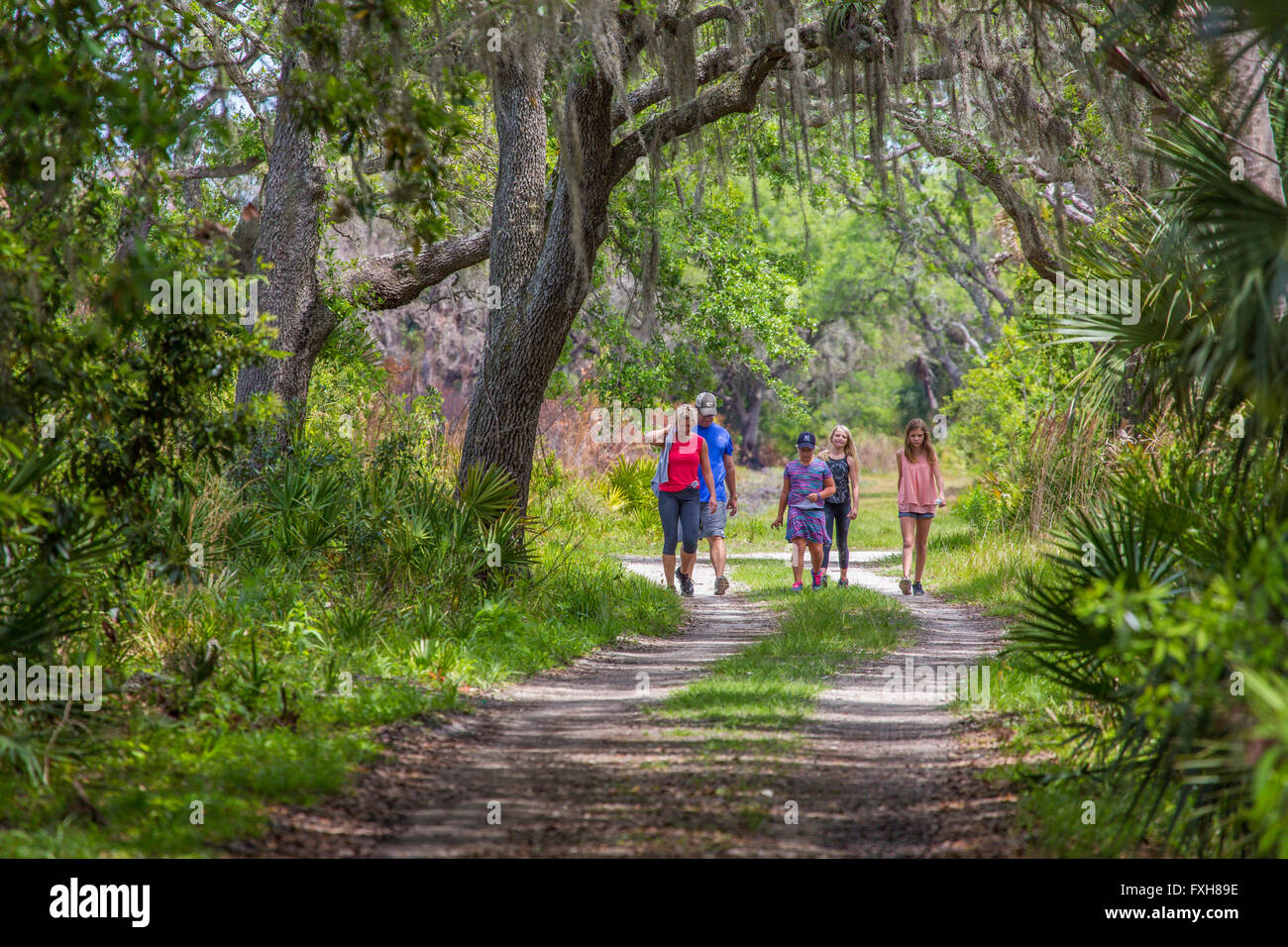 Famiglia camminando sul Ranch House Strada in Myakka River State Park nella contea di Sarasota in Sarasota Florida Foto Stock