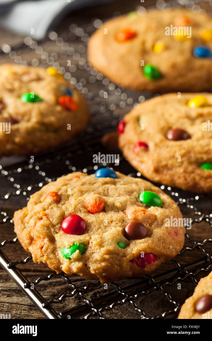 In casa Candy rivestito i biscotti al cioccolato pronto a mangiare Foto Stock