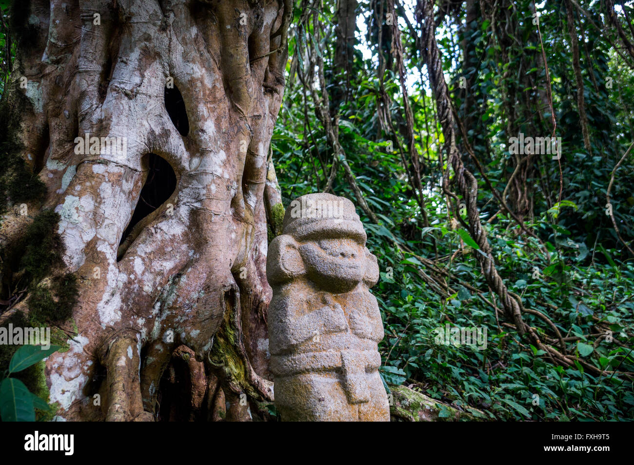 Una misteriosa statua di una persona di sesso maschile si erge nella foresta pluviale accanto a un vecchio albero con radici di grandi dimensioni. Il Foto Stock