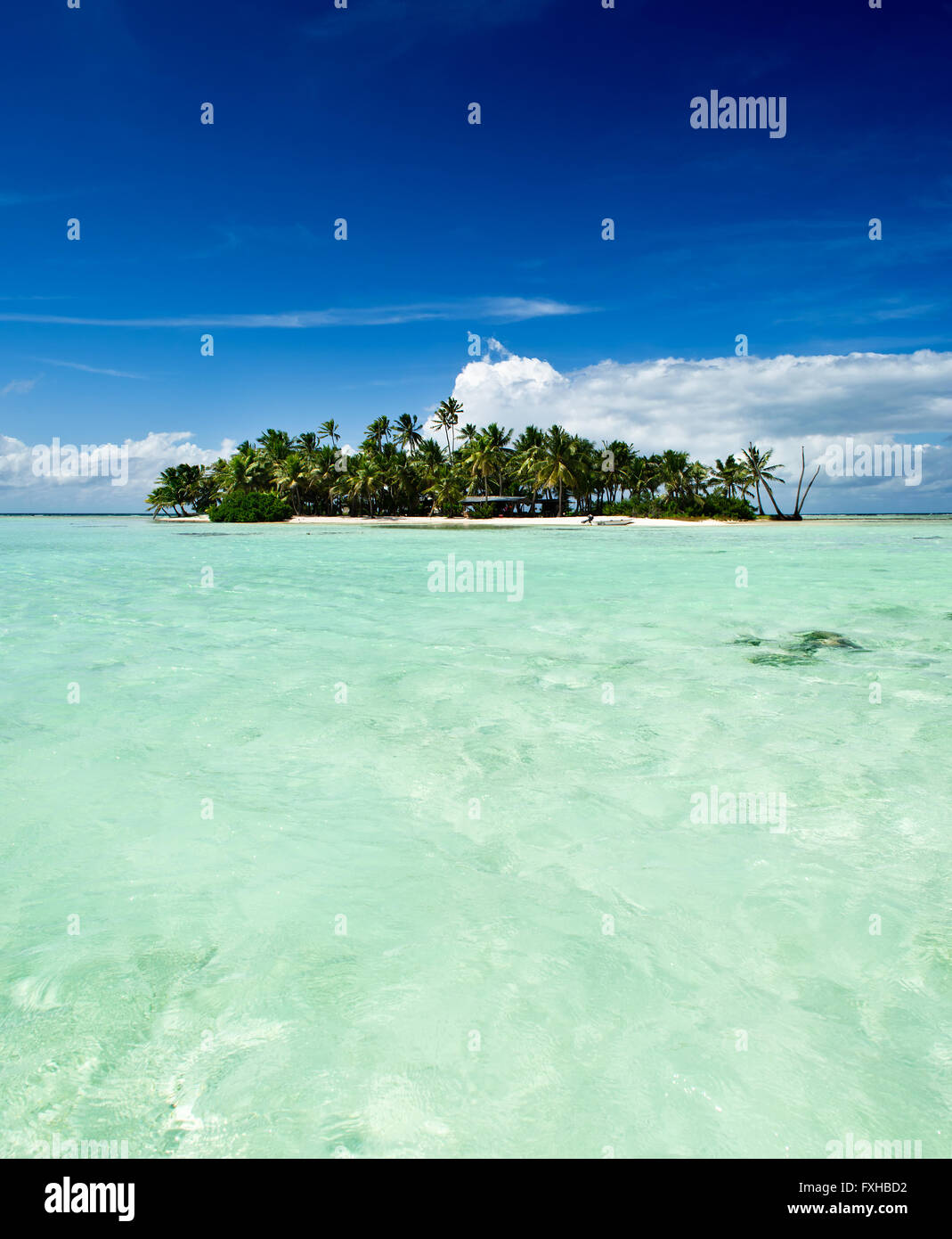 Tropical disabitata o isola deserta con la spiaggia e le palme in laguna blu all'interno di Rangiroa Atoll vicino a Tahiti, Polinesia Foto Stock