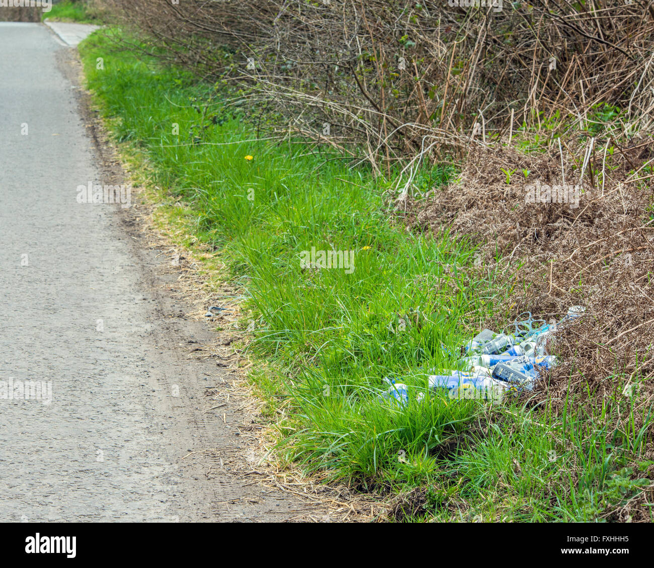 Lattine di birra e bottiglie oggetto di pratiche di dumping sul lato di una strada di campagna nel Regno Unito, un esempio di lasciare rifiuti nelle zone rurali Foto Stock