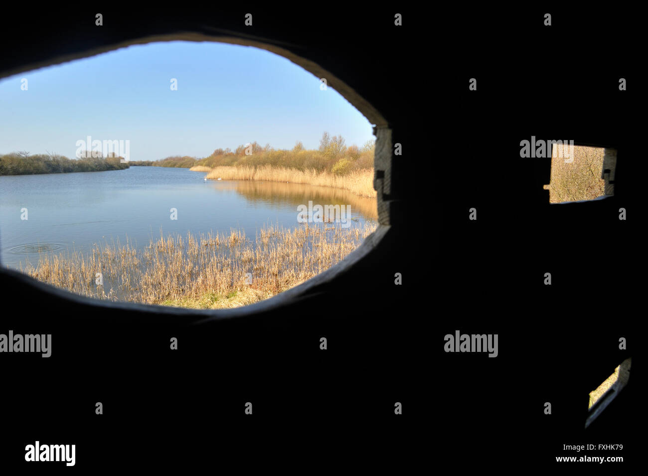 Vista da bird nascondere sopra il lago nella riserva naturale Parc du Marquenterre presso la Baia della Somme, Piccardia, Francia Foto Stock