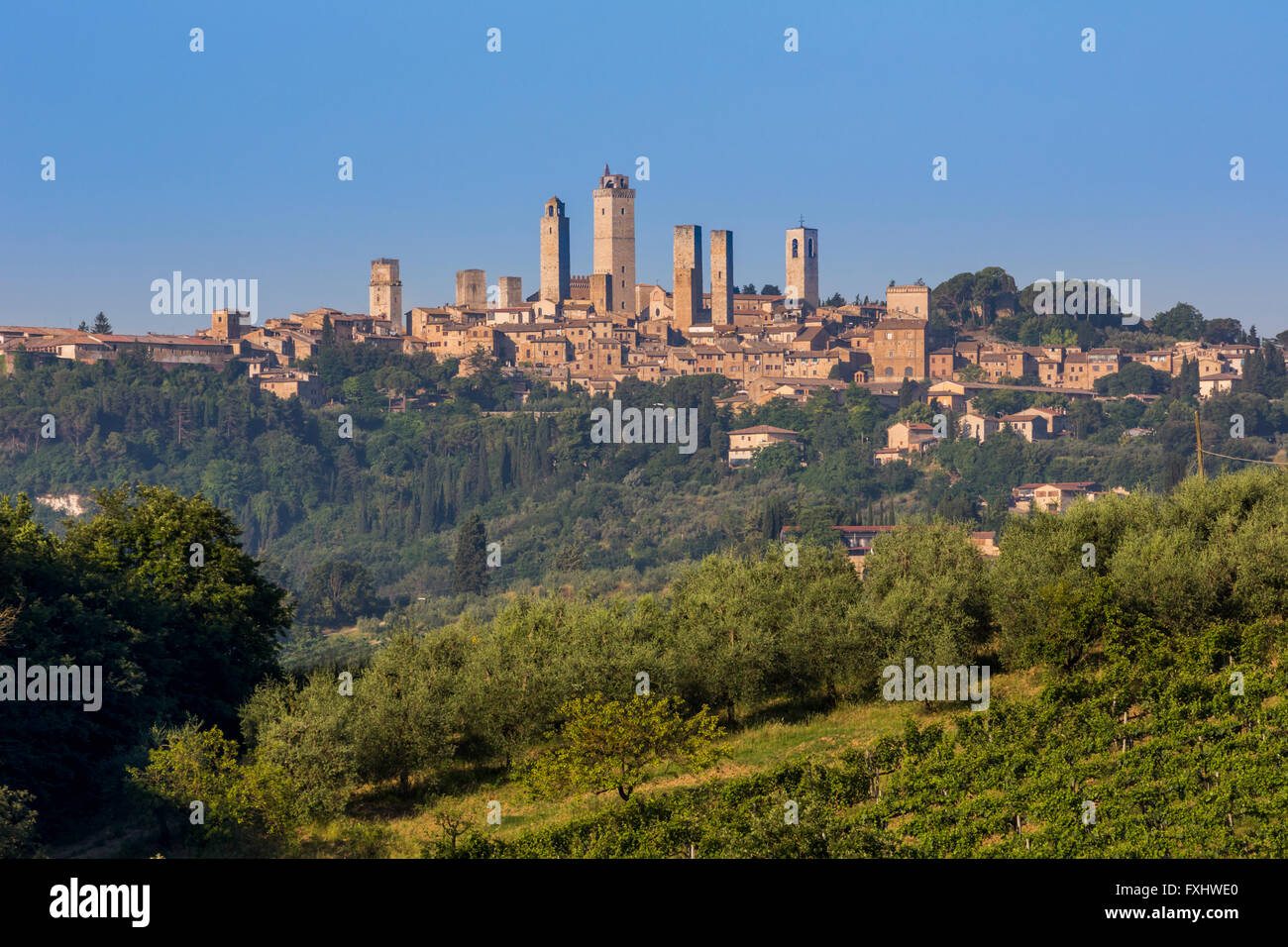 San Gimignano in Provincia di Siena, Toscana, Italia. I campi che circondano la cittadina medievale famosa per le sue torri. Foto Stock