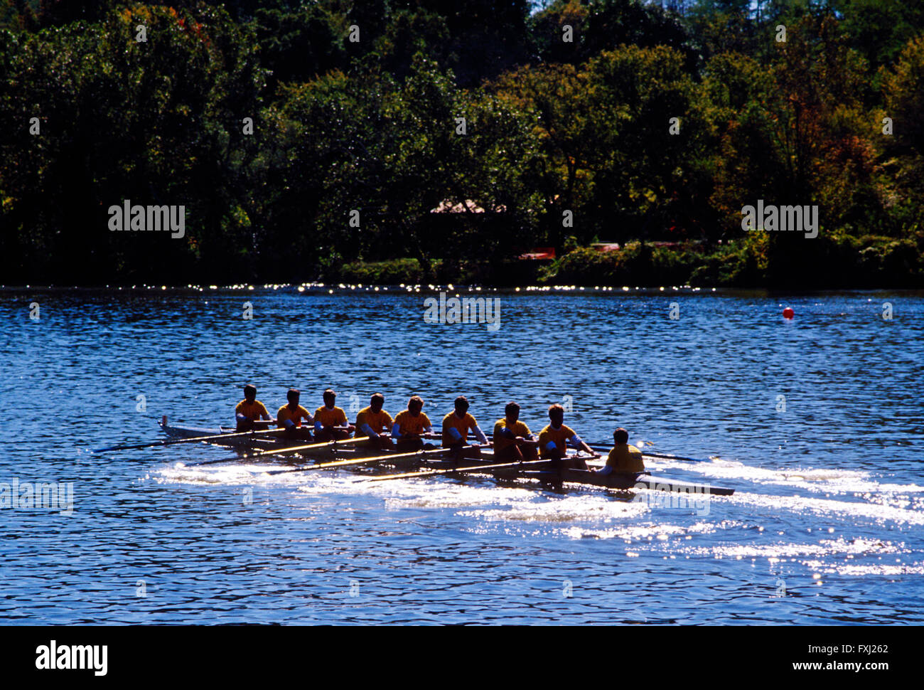Scullers remare nella testa della regata Schuylkill; Fiume Schuykill; Philadelphia; Pennsyvlania; USA Foto Stock