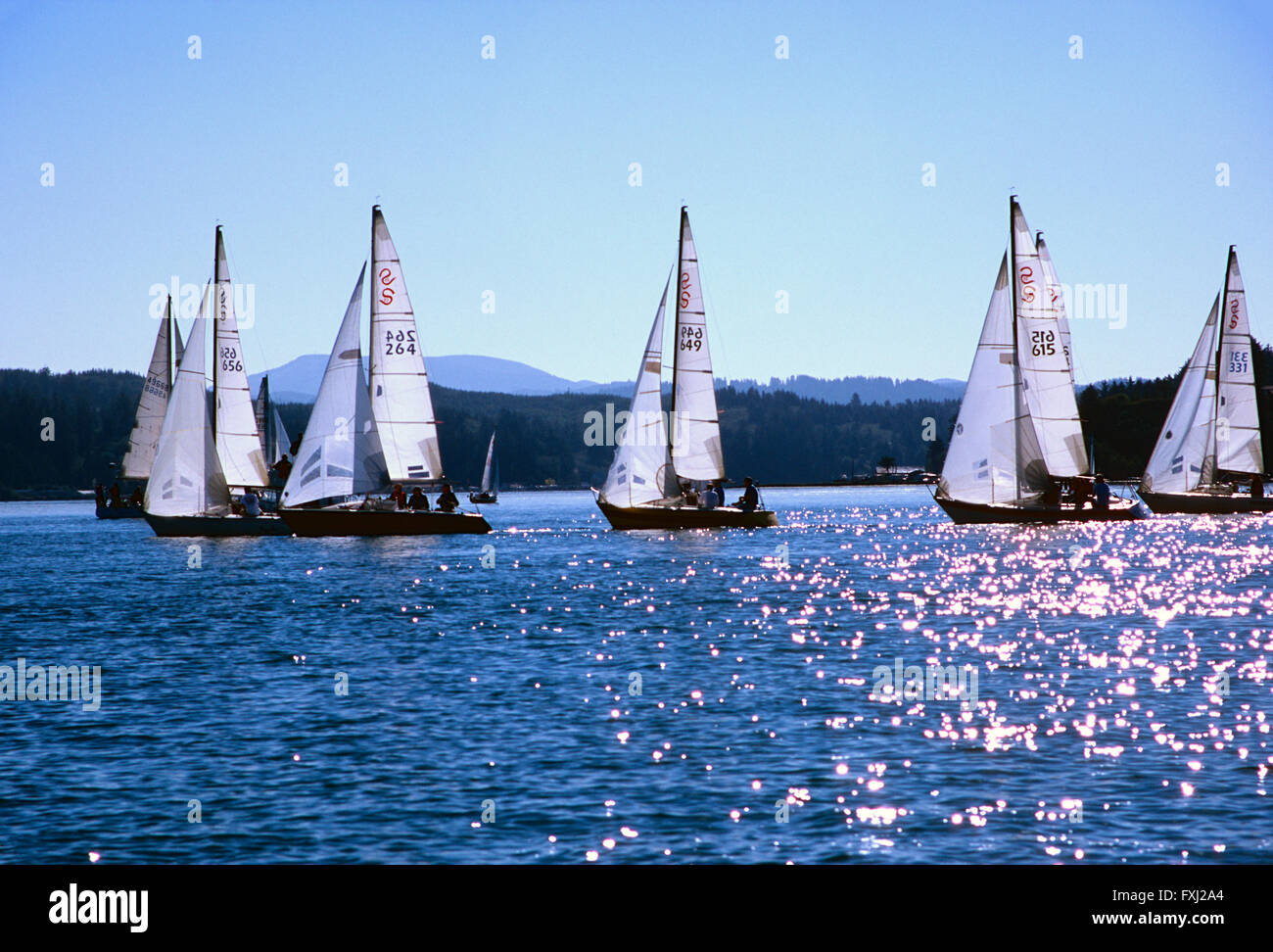 Barche a vela racing in regata vicino a Newport, Oregon, Stati Uniti d'America Foto Stock