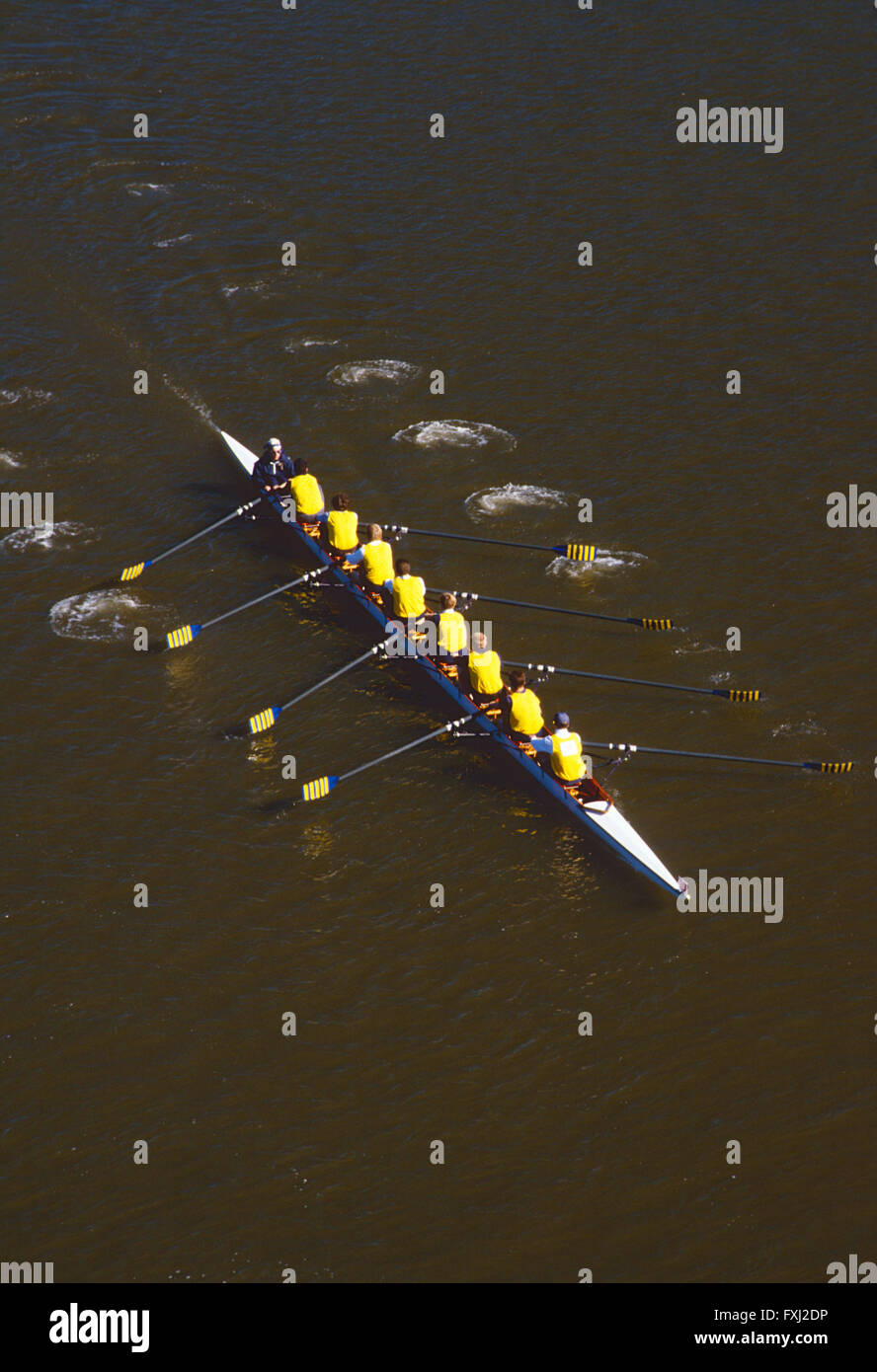 Scullers remare nella testa della regata Schuylkill; Fiume Schuykill; Philadelphia; Pennsyvlania; USA Foto Stock