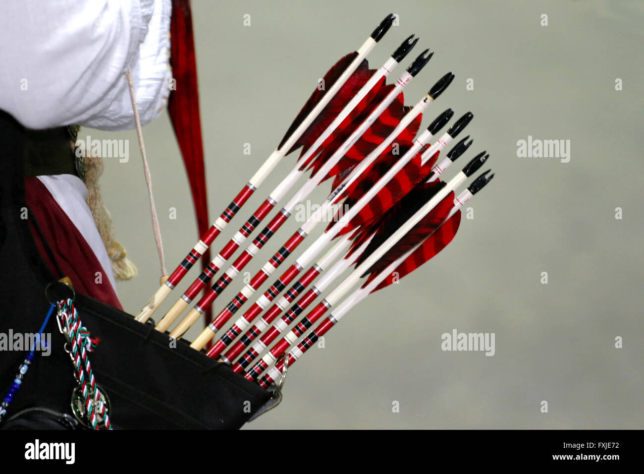 Serie di frecce per gli sport di tiro con l'arco Foto Stock