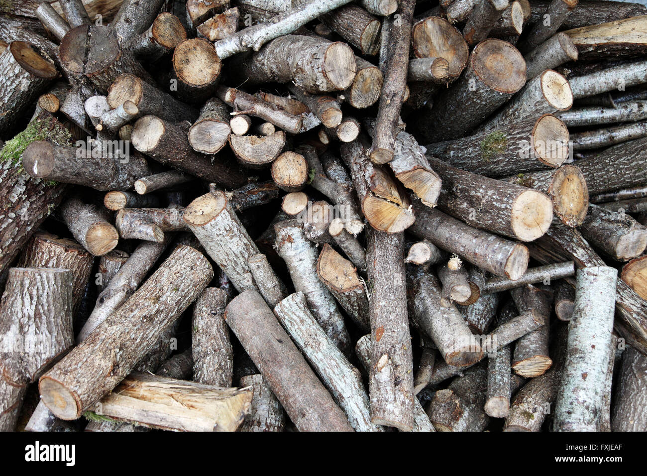 Si tratta di una foto di un palo di legno. Possiamo vedere un sacco di tronchi tutti insieme. Foto Stock