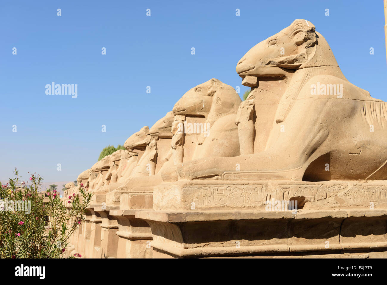 Avenue di ram - guidata sfingi, Tempio di Karnak Luxor Egitto Foto Stock