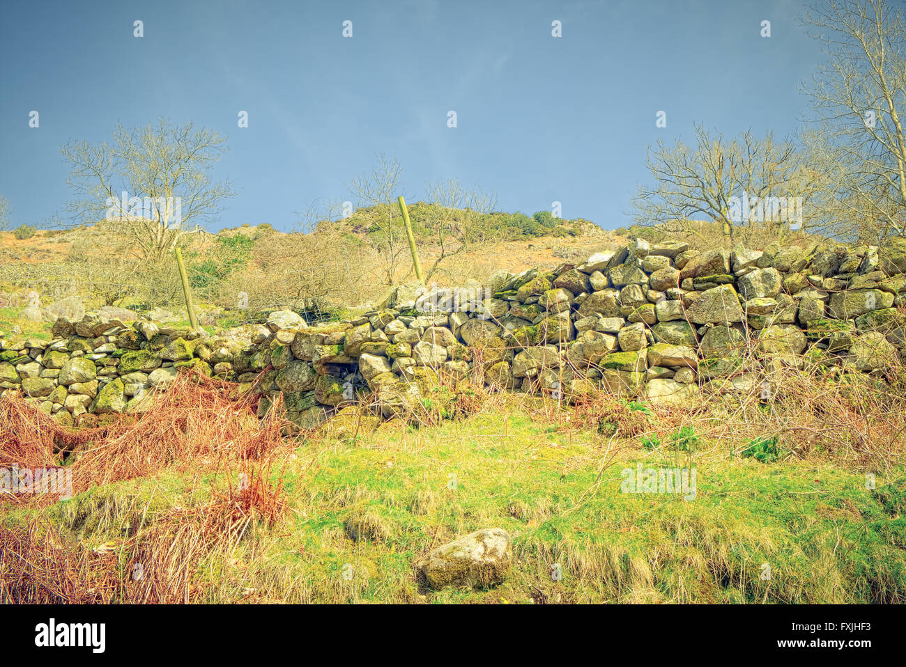 Langdale valley nel Lake District inglese Foto Stock