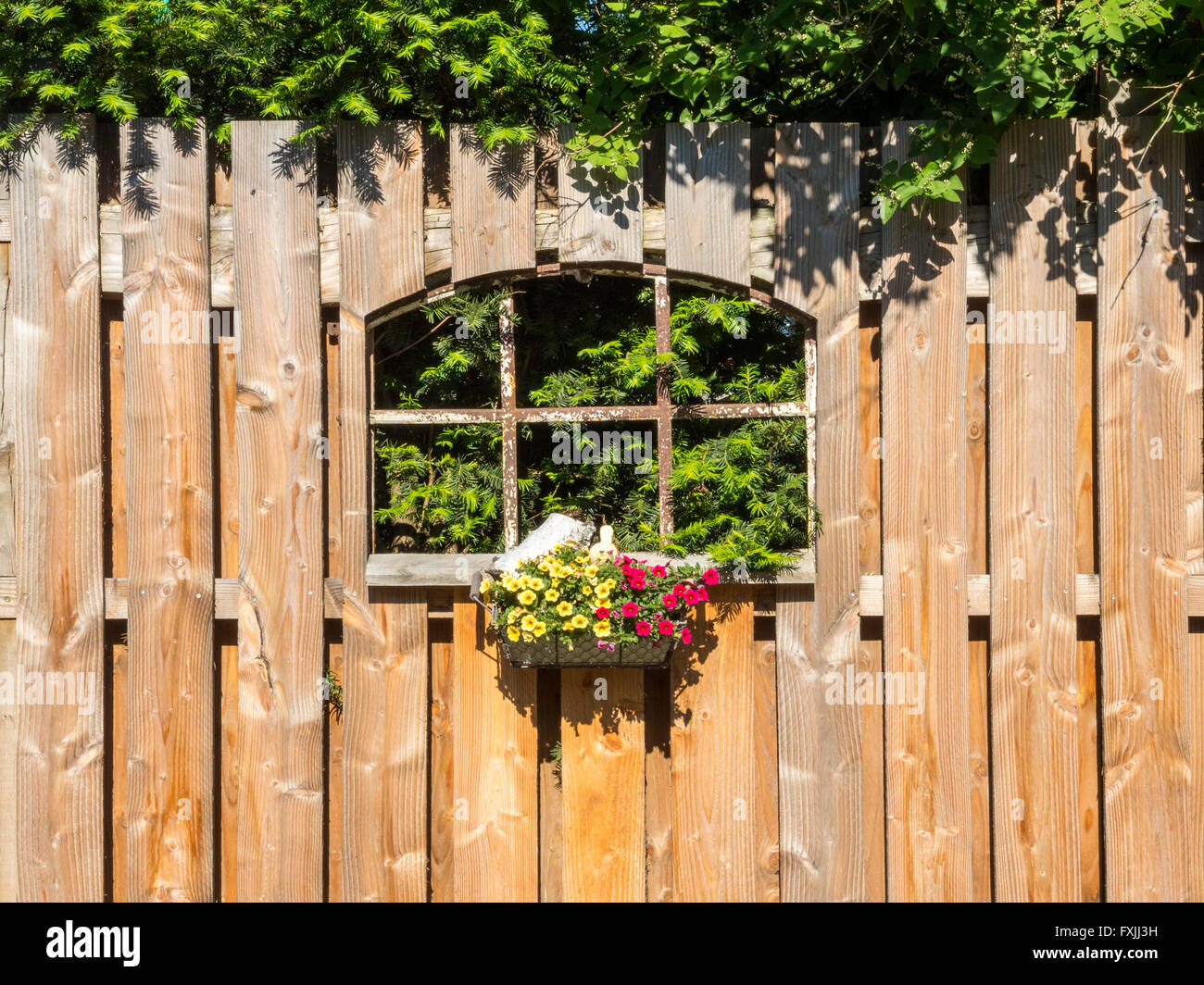 Vecchia finestra di ferro in un giardino in legno recinto con fiori in un cestello Foto Stock
