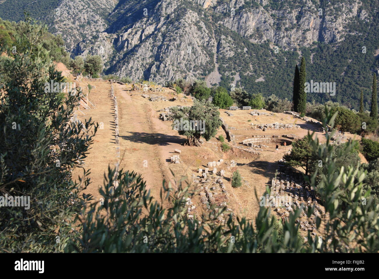 Rovine archeologiche di Delfi, Grecia Foto Stock