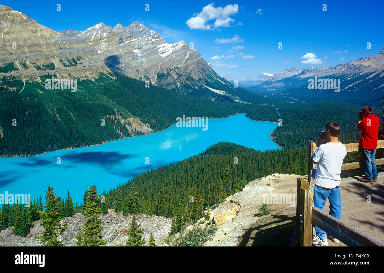 I turisti al Lago Peyto, Banff Ntional Park, Alberta, Canada Foto Stock