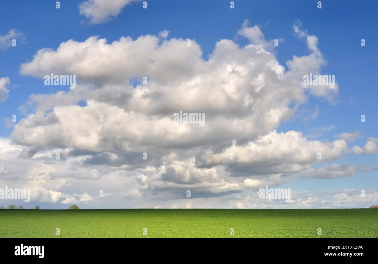 Campo verde sotto il cielo nuvoloso in campagna francese Foto Stock
