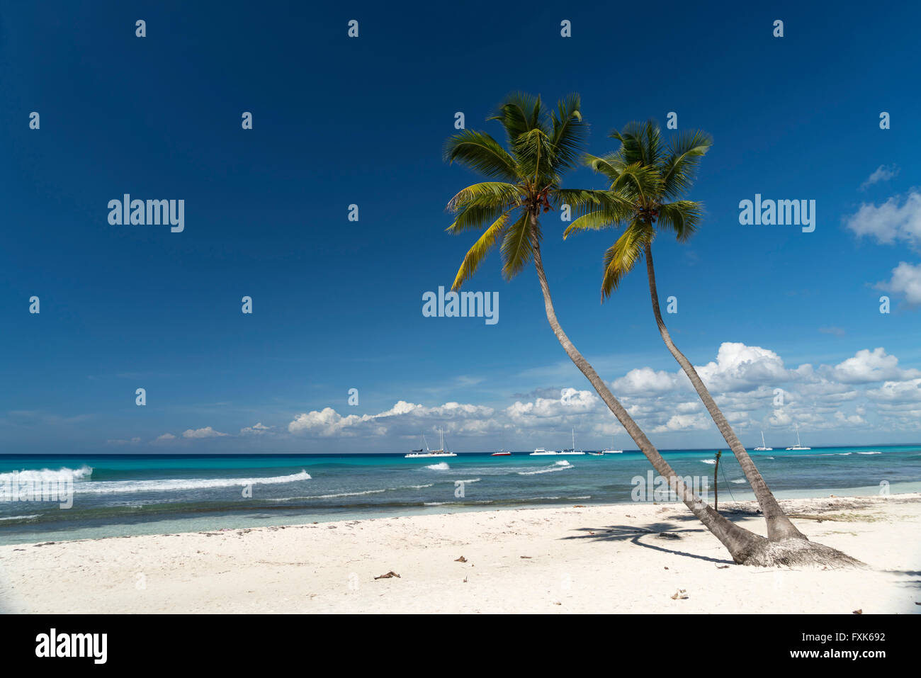 Sogno spiaggia spiaggia di sabbia con palme e il mare turchese, Parque Nacional del Este, Isla Saona, Repubblica Dominicana, dei Caraibi Foto Stock